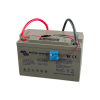 Victron Smart Battery Sense Long Range