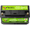 BullTron Starter Polar 118Ah - Batteria di avviamento LiFePO4 12.8V con alloggiamento L5
